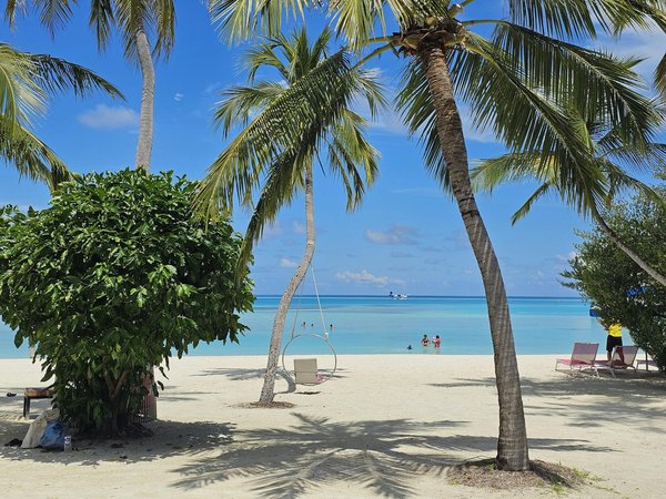 Destinations populaires pour les backpackers