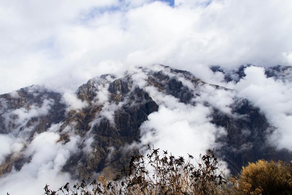 Les campings pour les amoureux de la nature en Corse